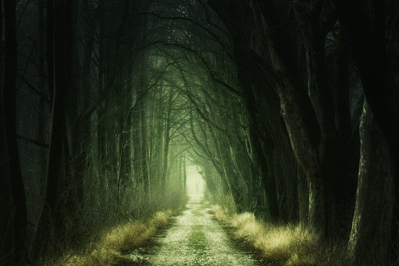 Enchanter's Realm